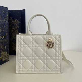 디올 북 토트백 스몰 M1325