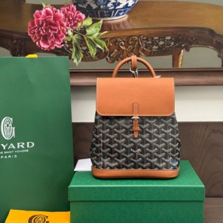 고야드 알핀 미니 백팩 뉴버전 G192295 브라운